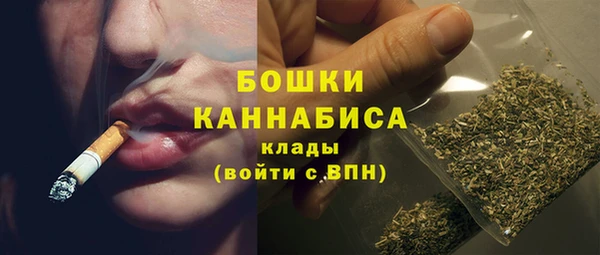 apvp Богданович