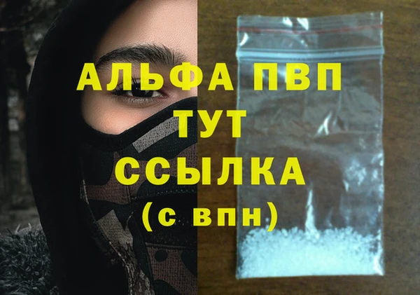прущие грибы Богородск
