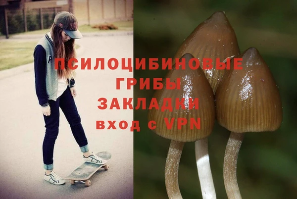 соль курить ск Белокуриха